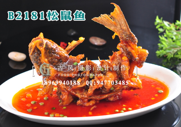 B2181松鼠鱼