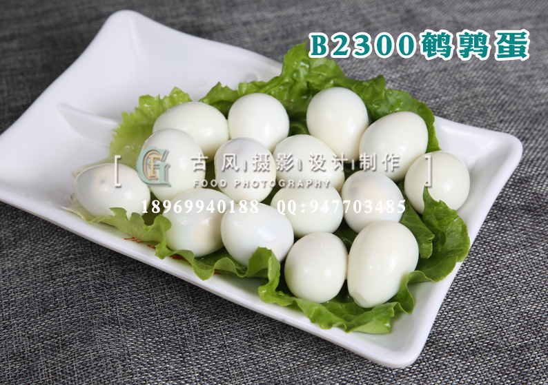 B2300鹌鹑蛋