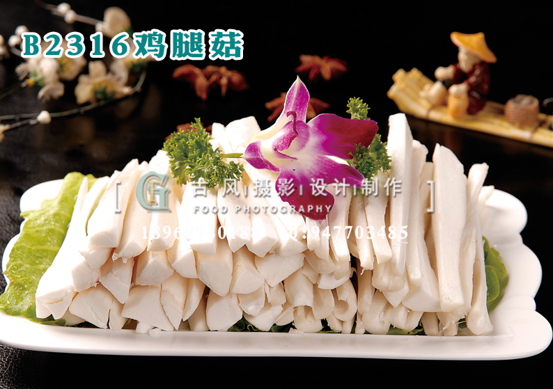 B2316鸡腿菇