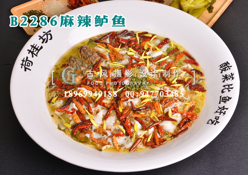 B2286麻辣鲈鱼