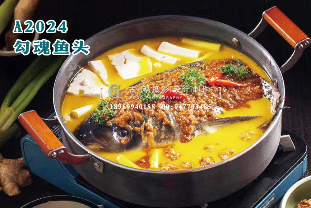 A2024勾魂鱼头