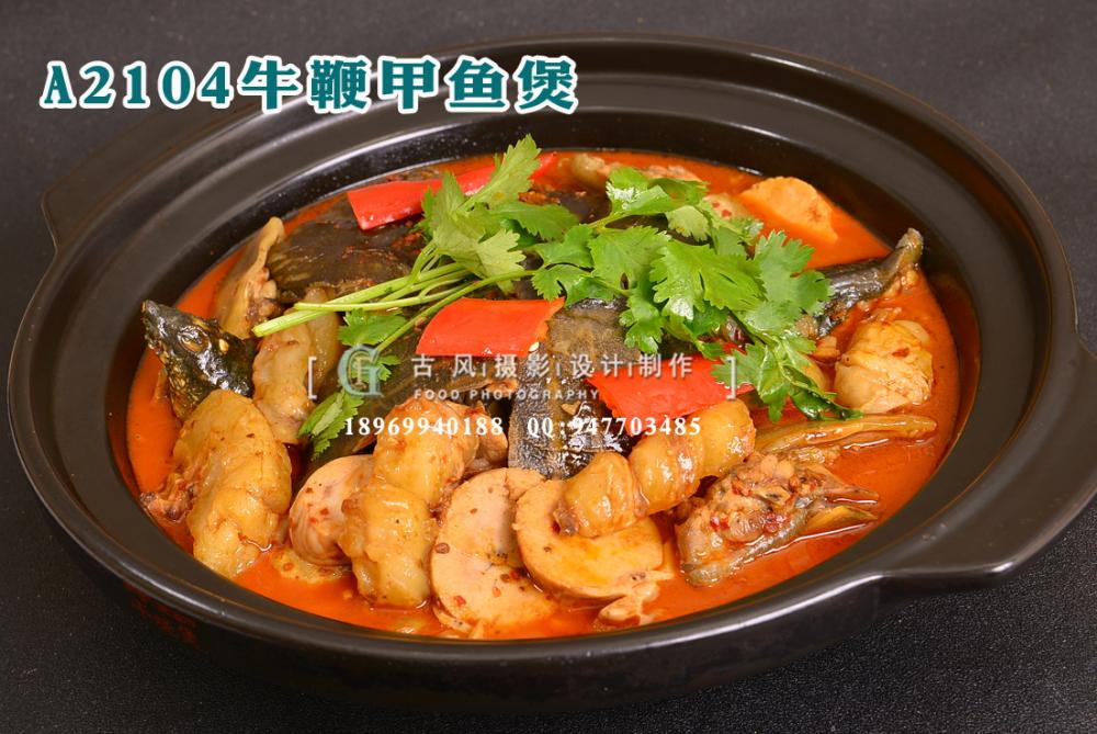 A2104牛鞭甲鱼煲