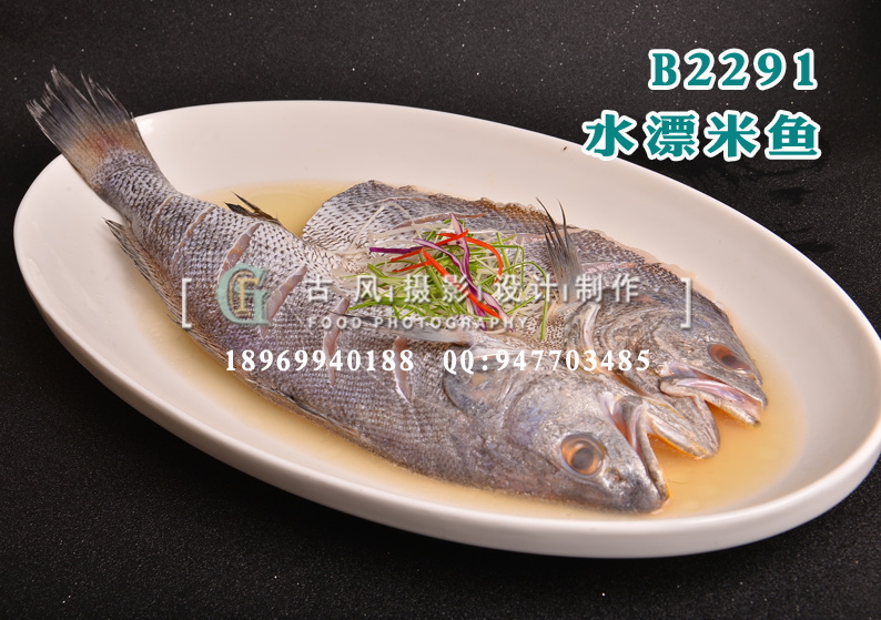 B2291水漂米鱼