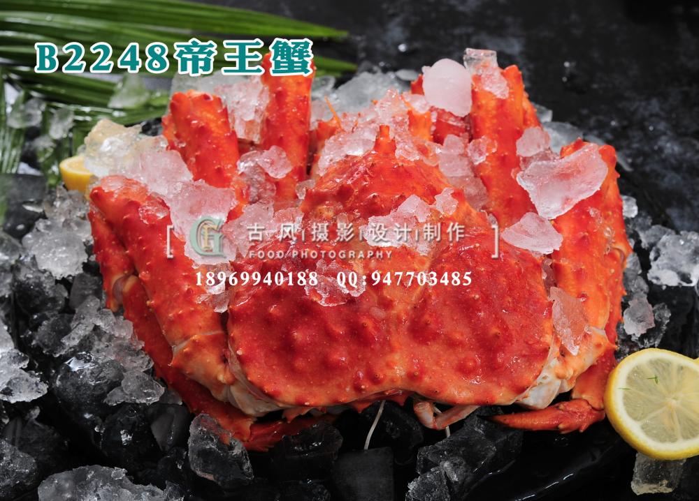 B2248帝王蟹