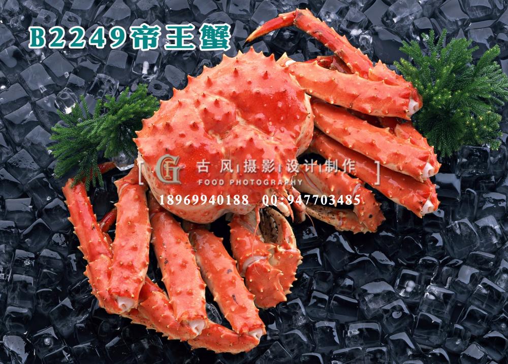 B2249帝王蟹
