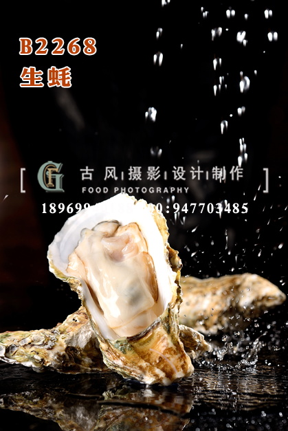 B2268生蚝