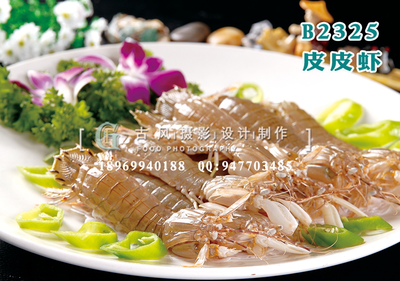 B2325皮皮虾