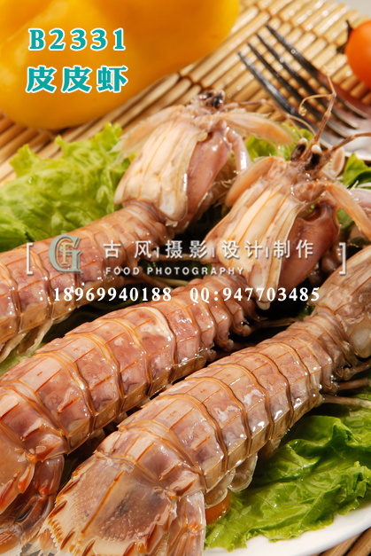 B2331皮皮虾