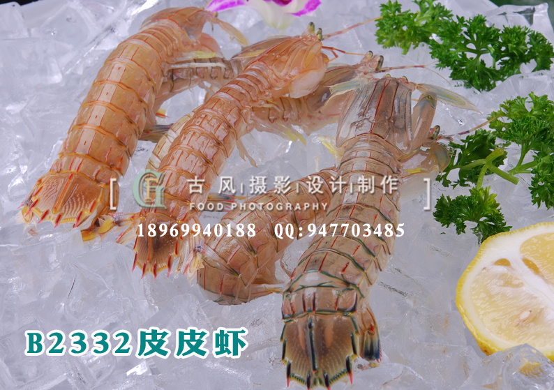B2332皮皮虾