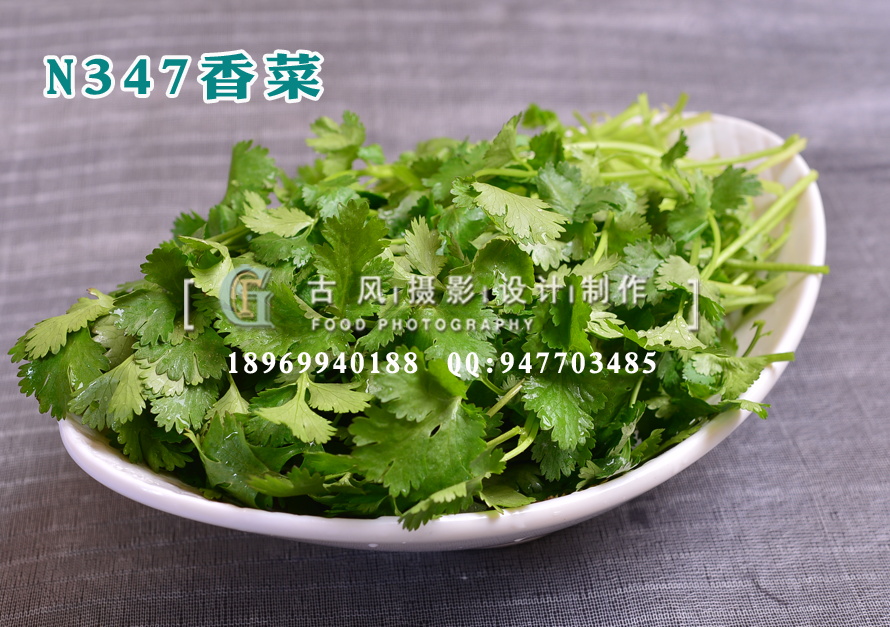 N347香菜