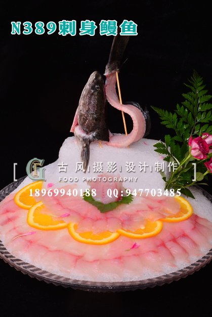 N389刺身鳗鱼