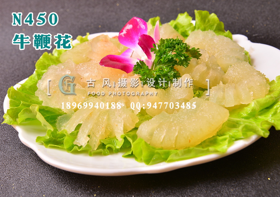 N450牛鞭花