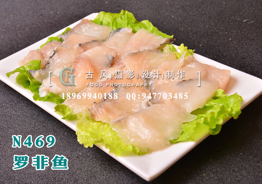 N469罗非鱼
