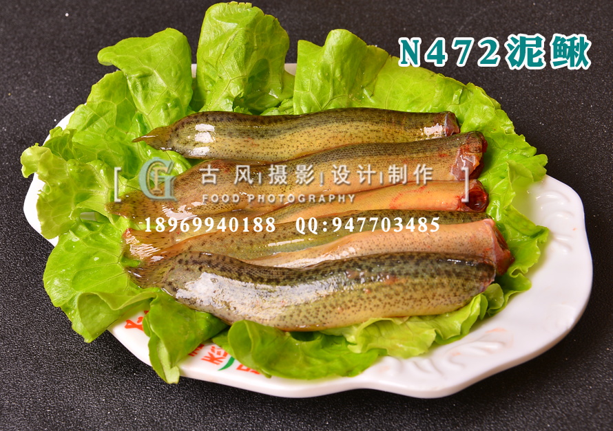N472泥鳅