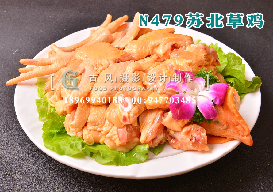 N479苏北草鸡