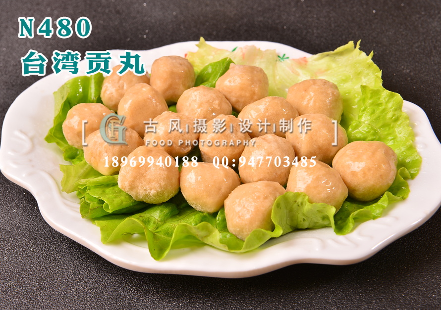 N480台湾贡丸