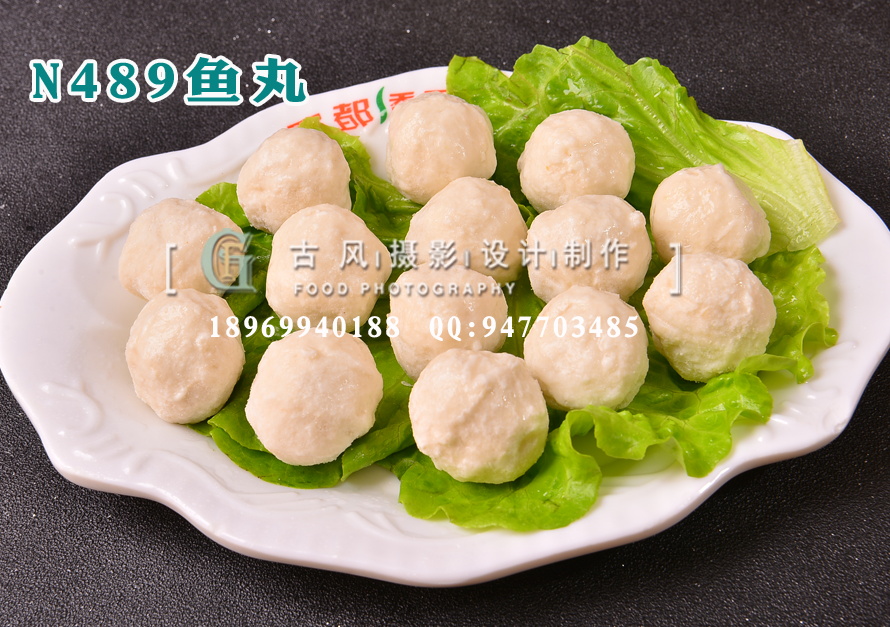 N489鱼丸
