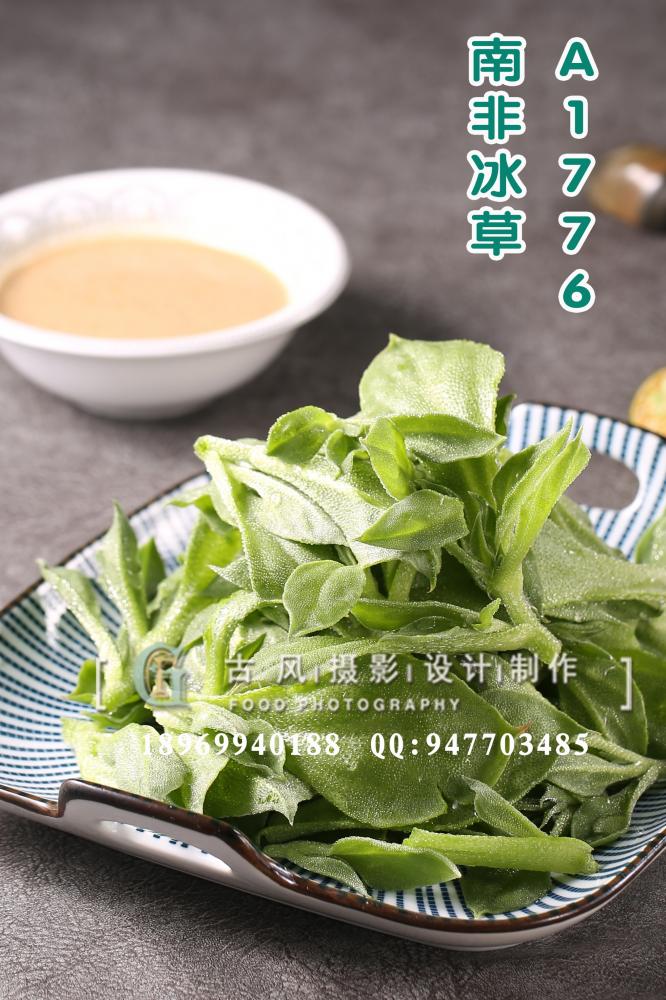 A1776南非冰草