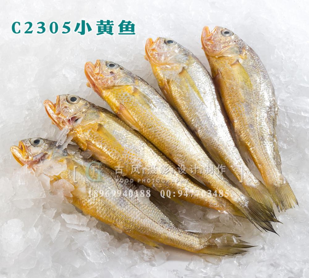C2305小黄鱼