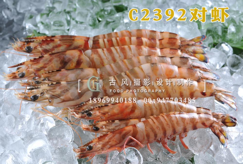 C2392对虾