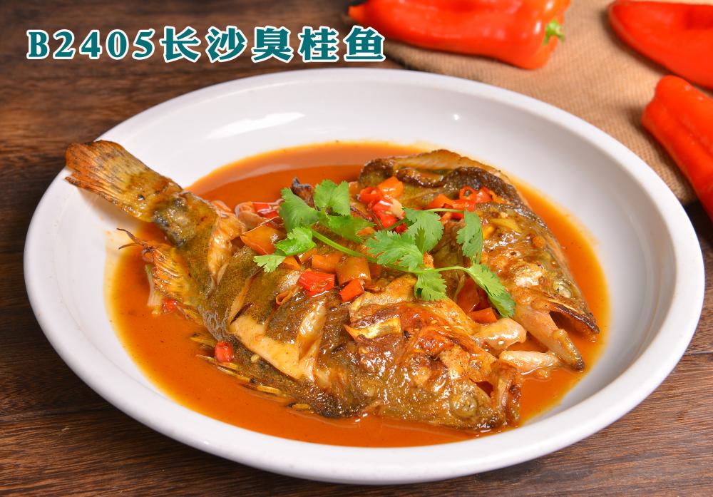 B2405长沙臭桂鱼