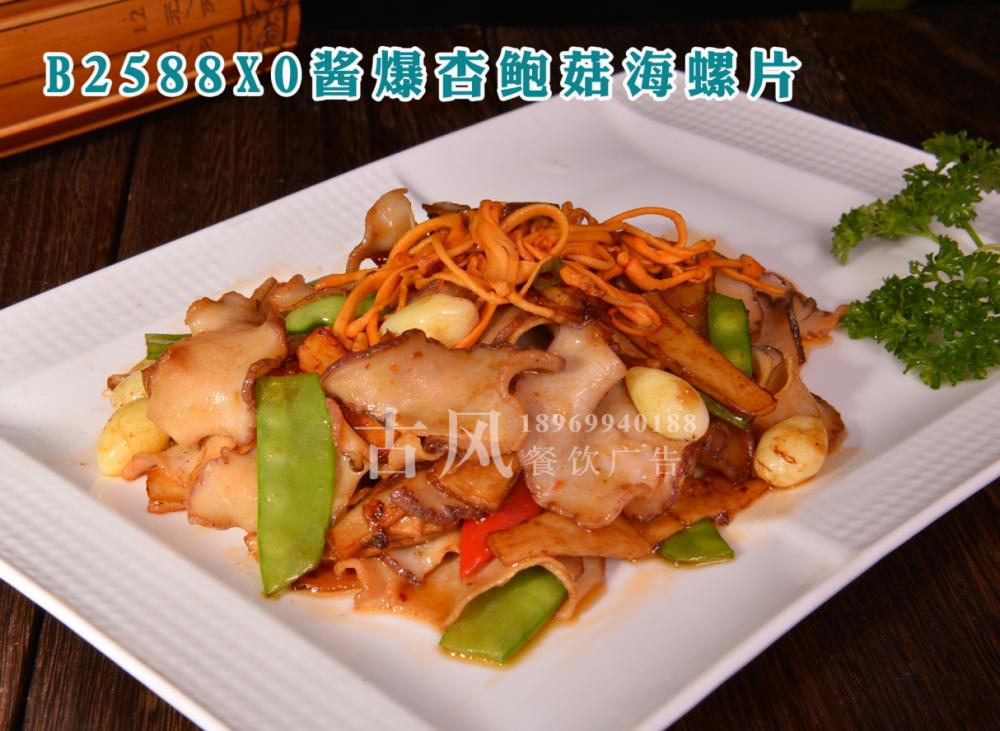 B2588XO酱爆杏鲍菇海螺片 (2)