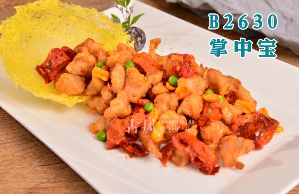 B2630掌中宝