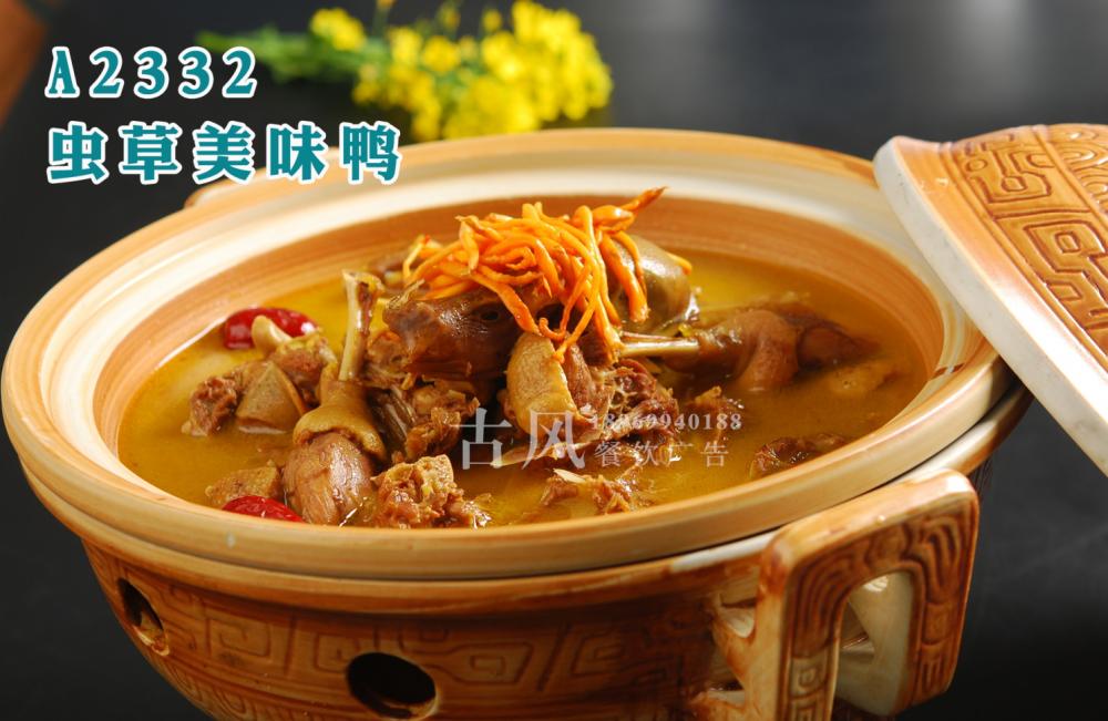 A2332虫草美味鸭)