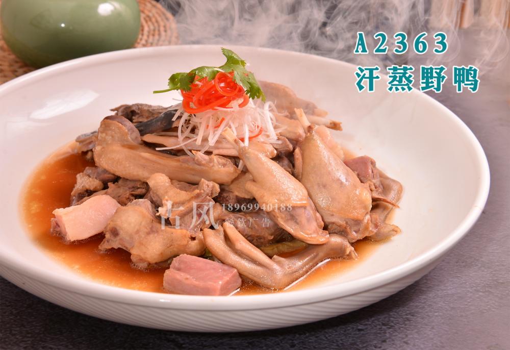 A2363汗蒸野鸭