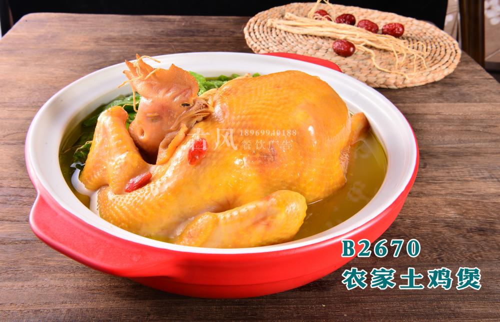 B2670农家土鸡煲 (2)
