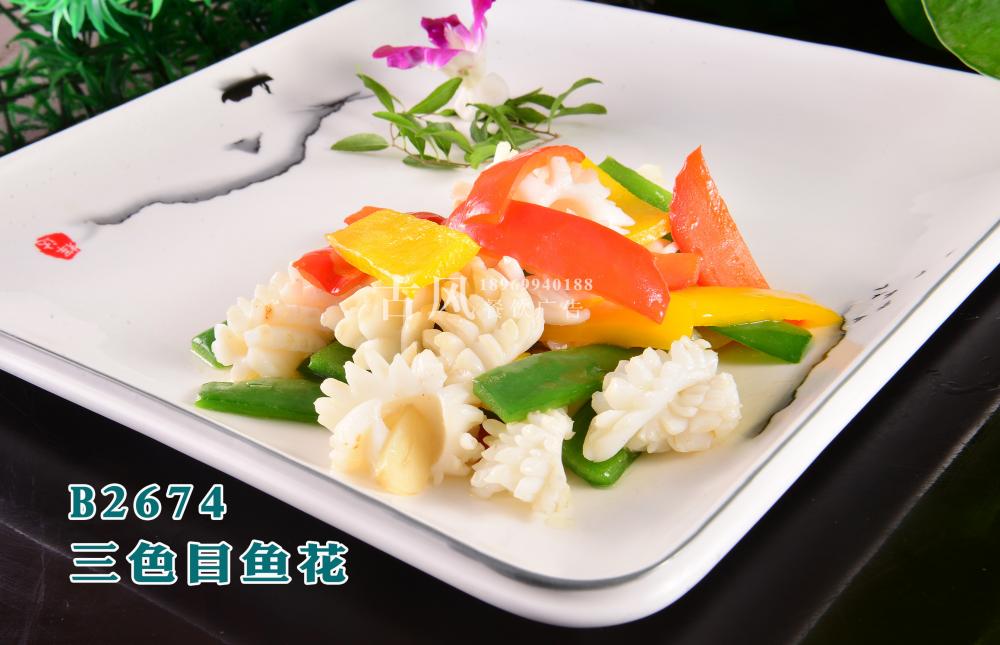 B2674三色目鱼花 (2)