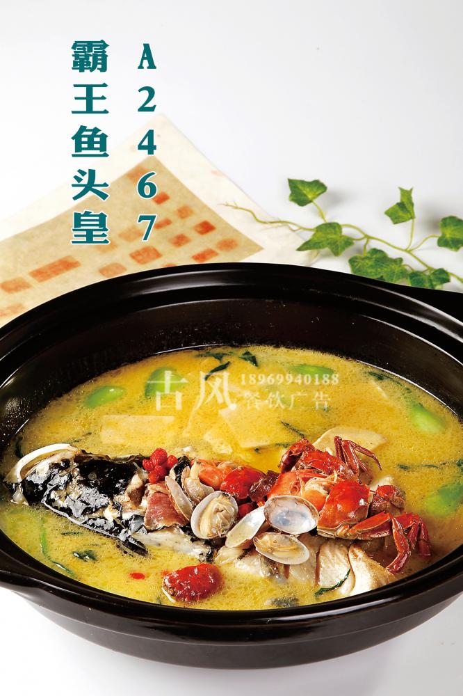 A2467霸王鱼头皇