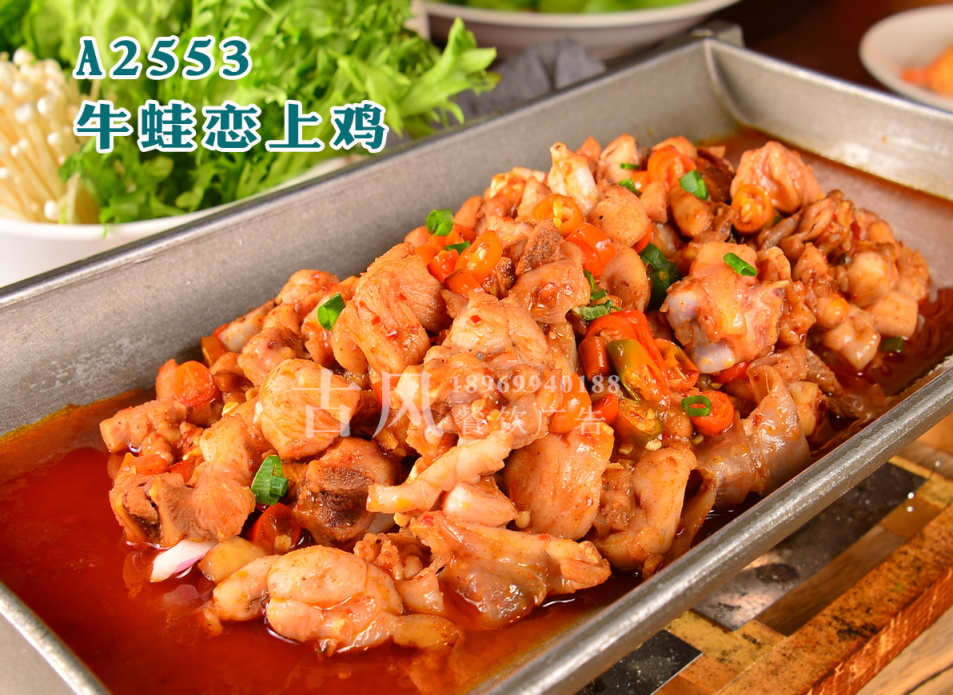 A2553牛蛙恋上鸡
