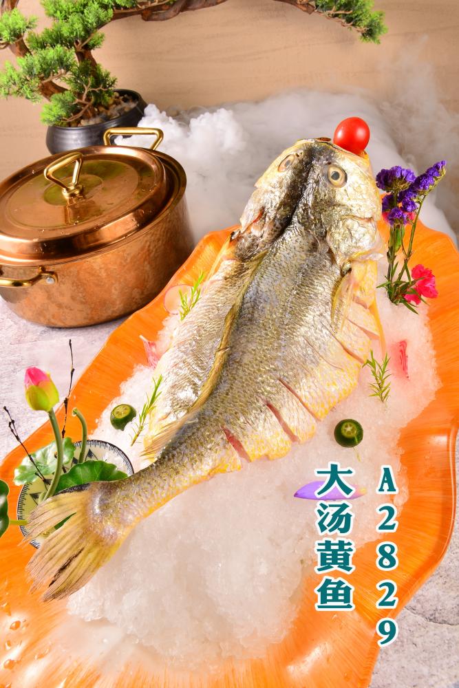 A2829大汤黄鱼
