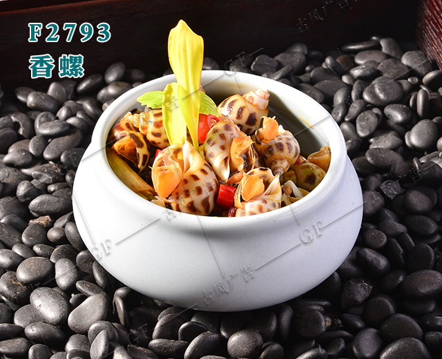 F2793香螺