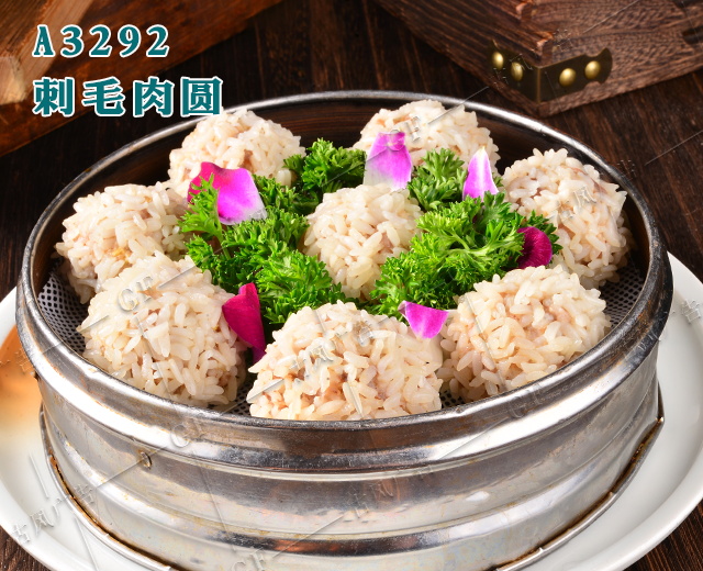 A3292刺毛肉圆