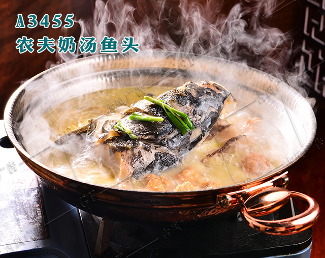 A3455农夫奶汤鱼头