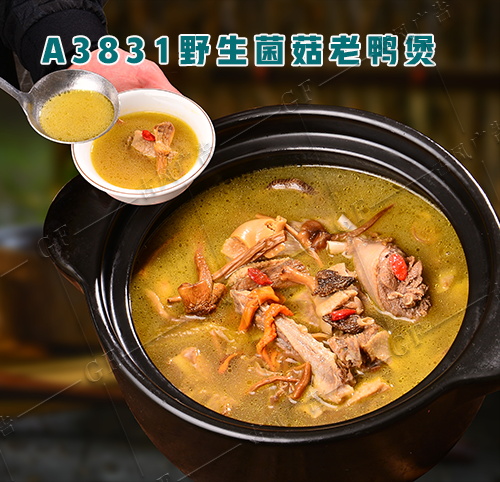 A3831野生菌菇老鸭煲