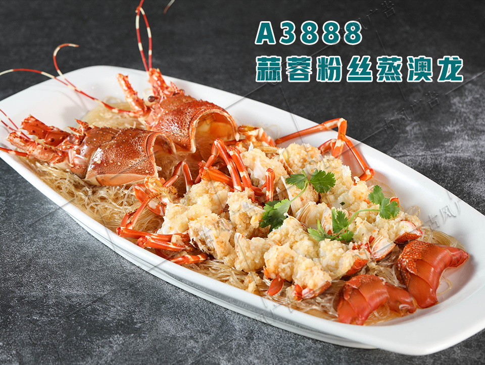 A3888蒜蓉粉丝蒸澳龙