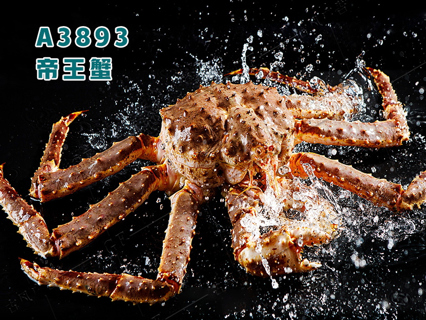 A3893帝王蟹
