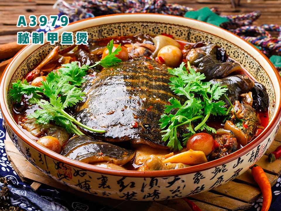 A3979秘制甲鱼煲
