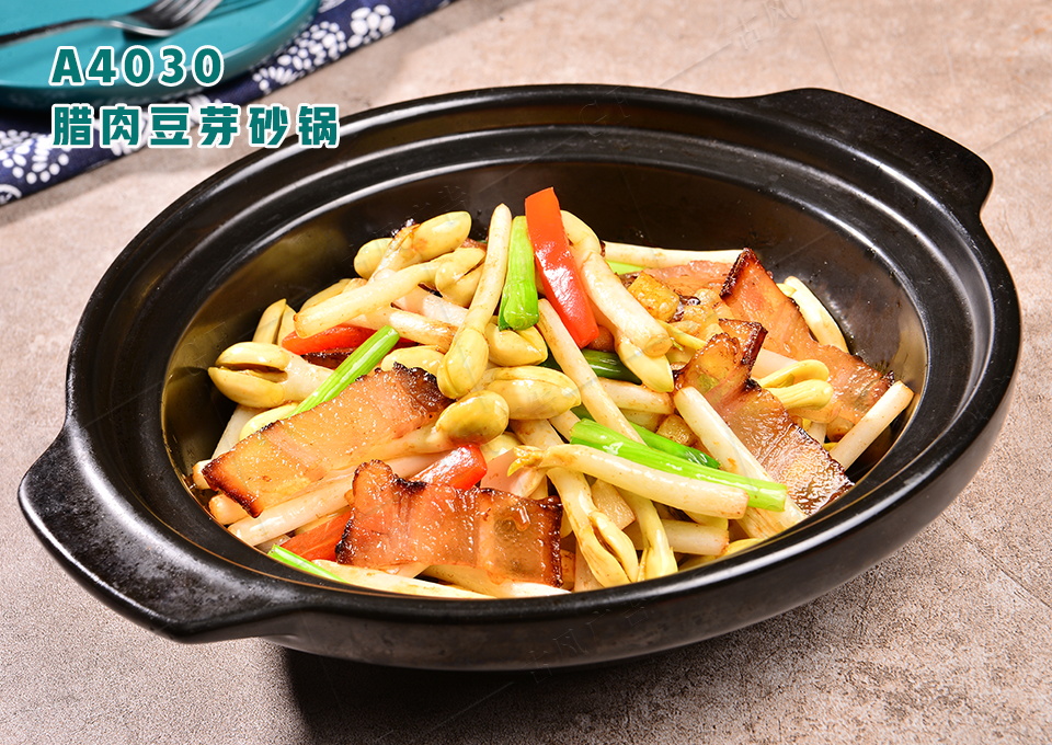 A4030腊肉豆芽砂锅