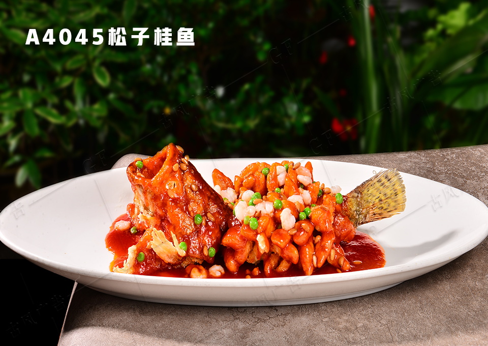A4045松子桂鱼