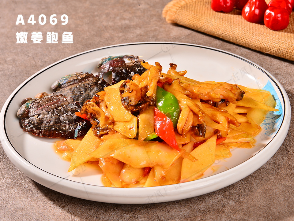 A4069嫩姜鲍鱼