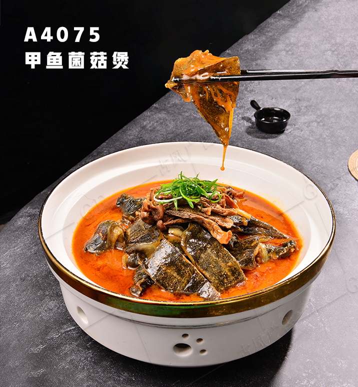 A4075甲鱼菌菇煲