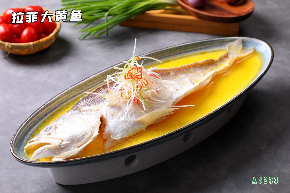 A5233拉菲大黄鱼