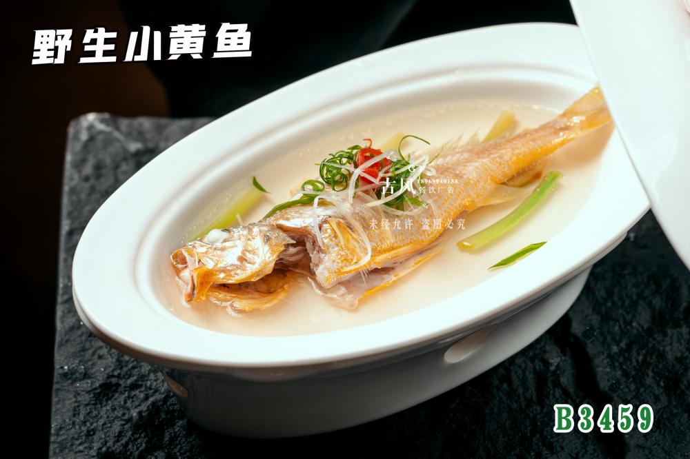 B3459野生小黄鱼 清蒸黄鱼