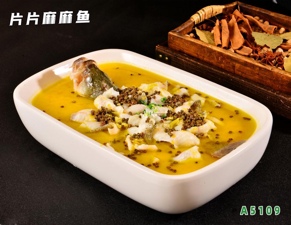 A5109片片麻麻鱼