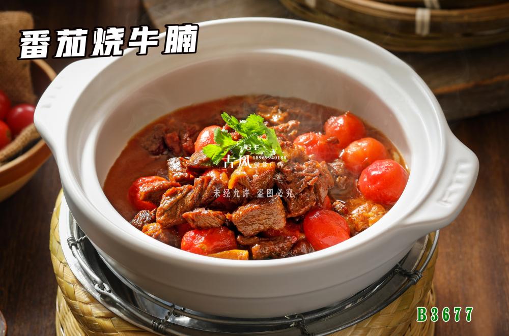B3677番茄燒牛腩