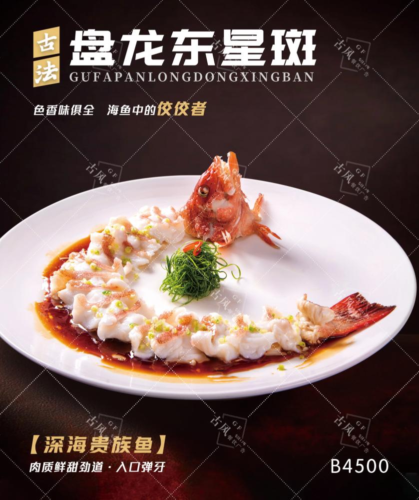 B4500游龙东星斑 古法盘龙东星斑